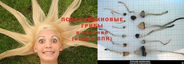 скорость mdpv Абаза