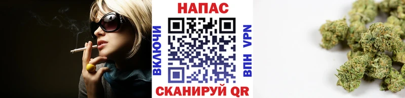 Канабис SATIVA & INDICA  мега как зайти  Шилка  где купить  